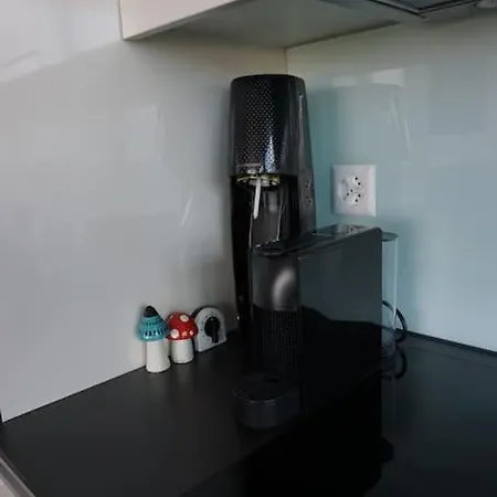 Switzerland Im 12. Stock דירה *